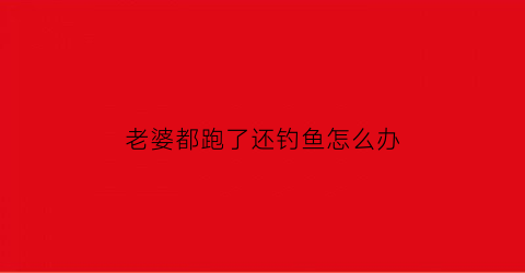 老婆都跑了还钓鱼怎么办(老婆跑了怎么走出来)