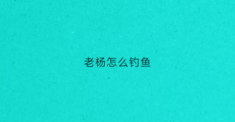 老杨怎么钓鱼(老杨爱打鱼)