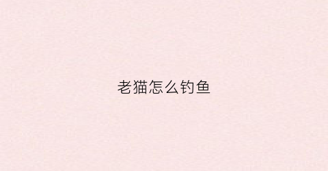 老猫怎么钓鱼(老猫钓鱼是小猫的3倍)