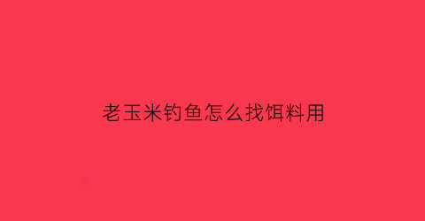 老玉米钓鱼怎么找饵料用(老玉米钓鱼饵料的制作方法经验)