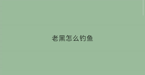 老黑怎么钓鱼(老黑怎么钓鱼视频)