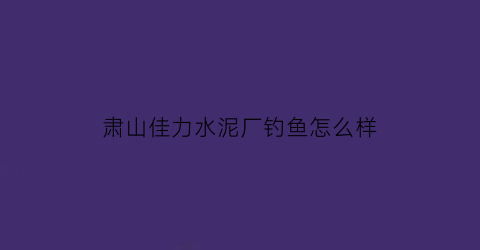 肃山佳力水泥厂钓鱼怎么样(杭州佳力水泥有限公司)