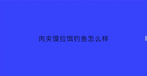 肉夹馍拉饵钓鱼怎么样(肉夹馍钓鱼钓法视频)