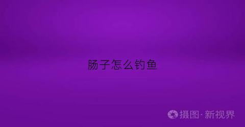 肠子怎么钓鱼(鱼肠子钓鱼)
