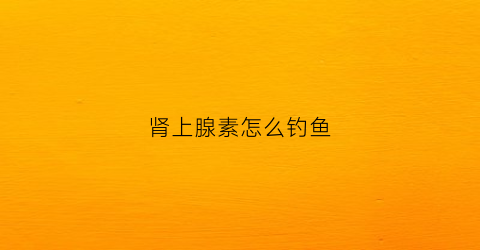 肾上腺素怎么钓鱼(肾上腺素对鱼的作用)