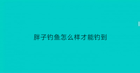 胖子钓鱼怎么样才能钓到(胖子饵料)