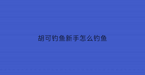 胡可钓鱼新手怎么钓鱼