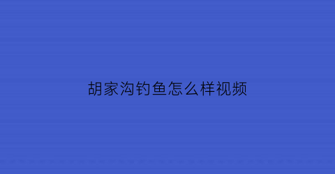 胡家沟钓鱼怎么样视频