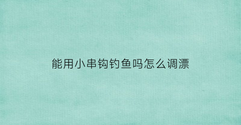 能用小串钩钓鱼吗怎么调漂(能用小串钩钓鱼吗怎么调漂视频)
