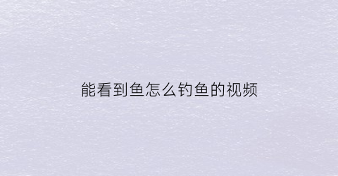 能看到鱼怎么钓鱼的视频(可以看到鱼)