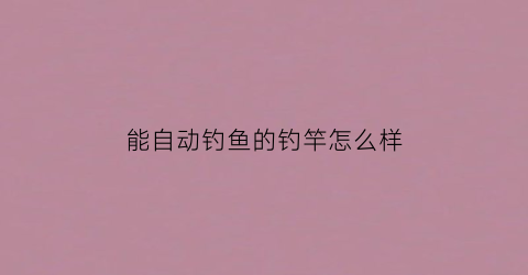 能自动钓鱼的钓竿怎么样(能自动钓鱼的钓竿怎么样啊)