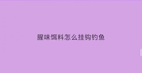 “腥味饵料怎么挂钩钓鱼(野钓腥饵)