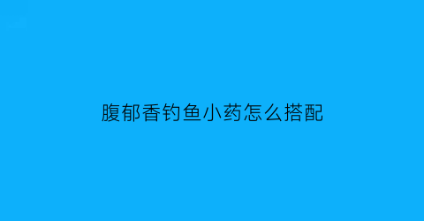 腹郁香钓鱼小药怎么搭配