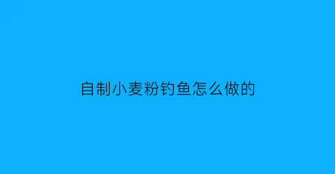 自制小麦粉钓鱼怎么做的(小麦粉打窝钓鱼怎么样)