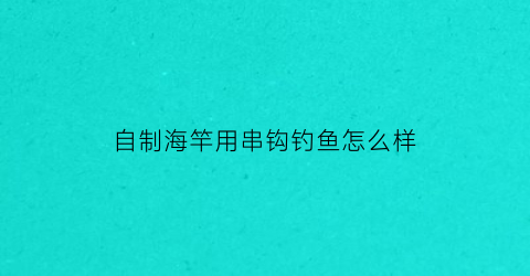 自制海竿用串钩钓鱼怎么样