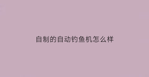 “自制的自动钓鱼机怎么样(自己做自动钓鱼器)