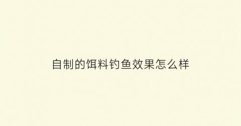 自制的饵料钓鱼效果怎么样(自制饵料方法)