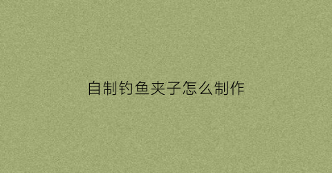 自制钓鱼夹子怎么制作(钓鱼卡子制作)