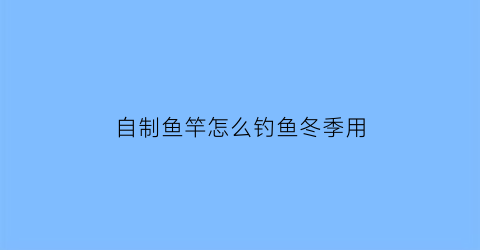 自制鱼竿怎么钓鱼冬季用