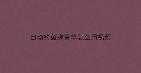 自动钓鱼弹簧竿怎么用视频(自动弹簧竿好用吗)