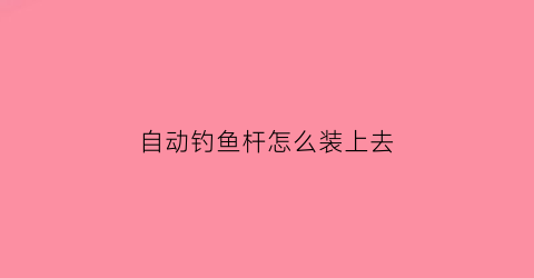 自动钓鱼杆怎么装上去(自动钓竿怎么样)