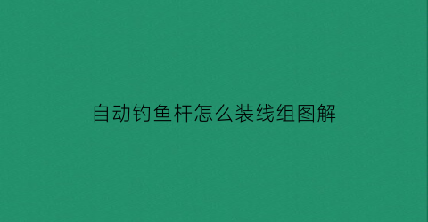 自动钓鱼杆怎么装线组图解(自动钓鱼竿怎么使用视频)