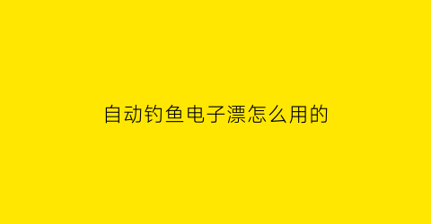 自动钓鱼电子漂怎么用的(自动钓鱼漂怎么装视频)