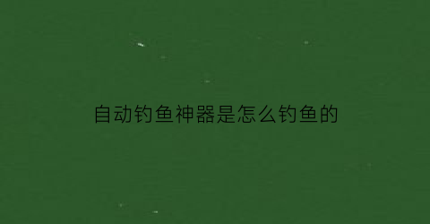自动钓鱼神器是怎么钓鱼的(自动钓鱼神器一钓一个准)