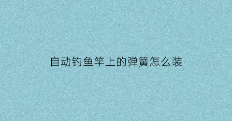 自动钓鱼竿上的弹簧怎么装(自动钓鱼竿安装视频)