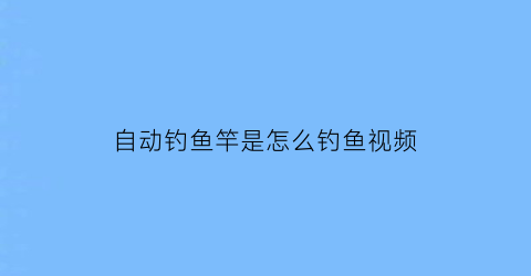 “自动钓鱼竿是怎么钓鱼视频(自动钓鱼的鱼竿)