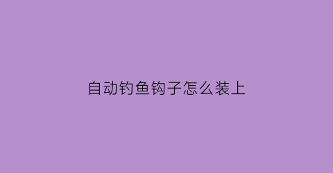 自动钓鱼钩子怎么装上(自动钓鱼鱼钩)
