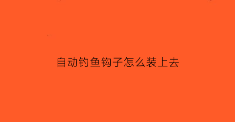 自动钓鱼钩子怎么装上去(自动钓鱼钩钓鱼视频)