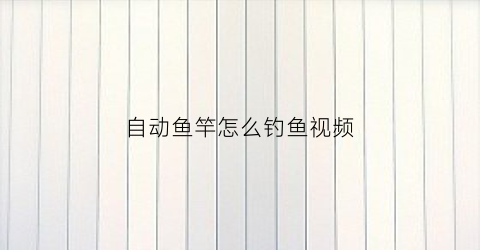 自动鱼竿怎么钓鱼视频(自动钓鱼竿的原理)