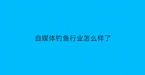 “自媒体钓鱼行业怎么样了(野钓自媒体怎么挣钱)