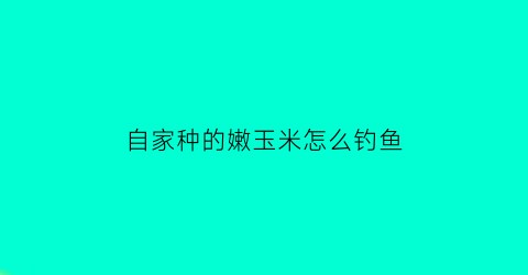 “自家种的嫩玉米怎么钓鱼(嫩玉米怎么钓鱼需要煮熟么)