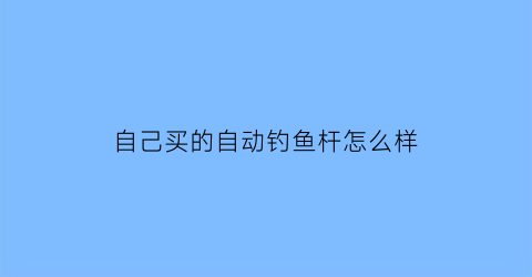 自己买的自动钓鱼杆怎么样(自动钓鱼竿的原理)
