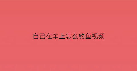 “自己在车上怎么钓鱼视频(坐车上钓鱼图片)