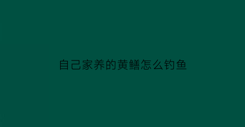 自己家养的黄鳝怎么钓鱼(自己家养的黄鳝怎么钓鱼视频)