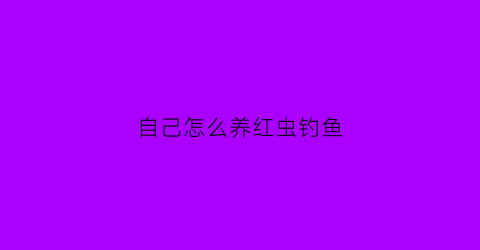 自己怎么养红虫钓鱼