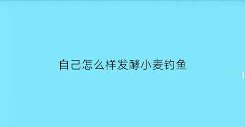 自己怎么样发酵小麦钓鱼(自制发酵小麦钓鱼窝料)