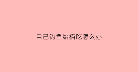自己钓鱼给猫吃怎么办(钓的鱼喂猫)