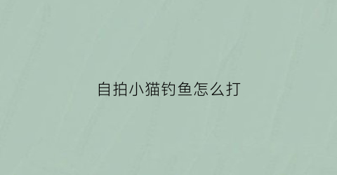 自拍小猫钓鱼怎么打(小猫钓鱼自拍头像)