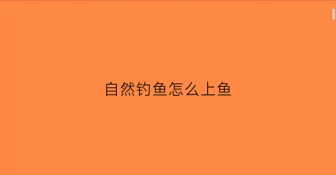 自然钓鱼怎么上鱼(自然水域如何钓鱼)