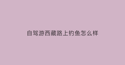 自驾游西藏路上钓鱼怎么样(自驾西藏路好走吗)
