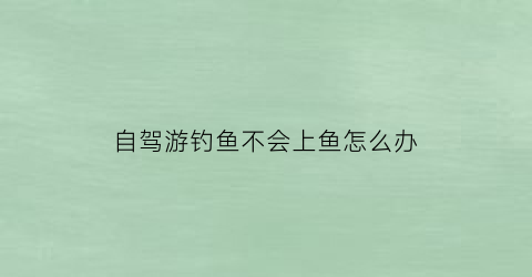 “自驾游钓鱼不会上鱼怎么办(自驾游钓鱼不会上鱼怎么办呀)