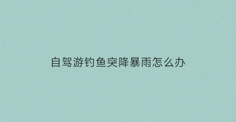 自驾游钓鱼突降暴雨怎么办(大暴雨钓鱼)