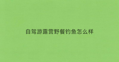 自驾游露营野餐钓鱼怎么样