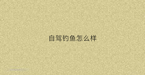 自驾钓鱼怎么样(自驾钓鱼怎么样好钓吗)