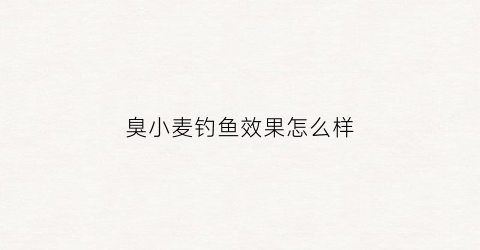 臭小麦钓鱼效果怎么样(臭小麦打窝效果好吗)