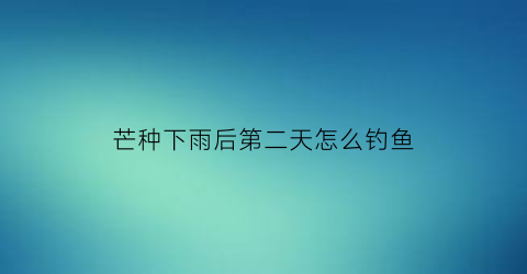 芒种下雨后第二天怎么钓鱼(芒种下雨夏至下雨)